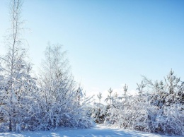 В Украине резко изменится погода к Новому году