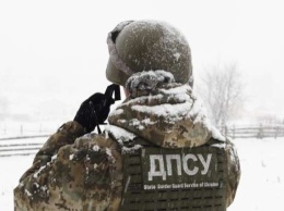 С начала нового года пограничники не пропустили в Украину 25 россиян
