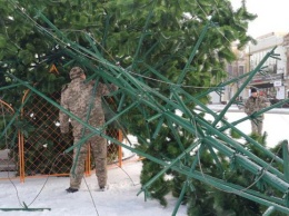 В центре Кропивницкого упала главная елка (видео)