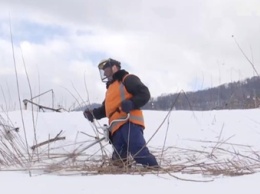 Обрезали кусты под снегом: на Закарпатье пытались уберечь мышей от стресса