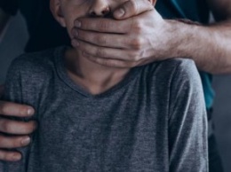 За изнасилование малолетнего ребенка жителя Каменского приговорили к 12 годам тюрьмы