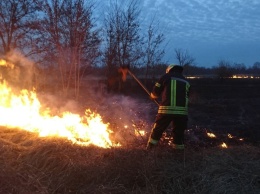 Спасатели просят жителей Никополя и района не сжигать траву
