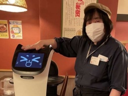 «Вот вам блюдо из вашего заказа, мяу» - в японском ресторане кот-робот работает официантом (ФОТО)