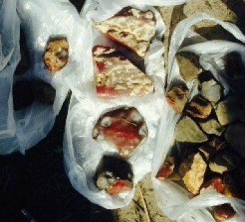 Правоохранители в Житомирской области изъяли 4 кг янтаря