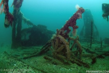 История Черноморска: затонувшее судна у берегов