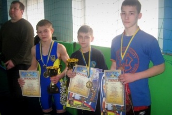Спортсмены из Славянска завоевали медали на областном чемпионате по греко-римской борьбе