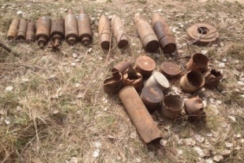 В Черниговском районе снова нашли старые боеприпасы