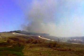 В Краматорске произошло масштабное возгорание хвойного леса