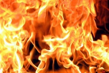 В Красноармейске (Покровске) суббота выдалась огненной: горели открытые территории, торговый павильон и хозпостройки