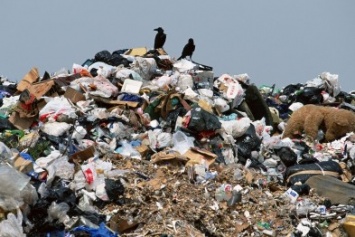 Проблема мусорных свалок в Доброполье будет взята под контроль
