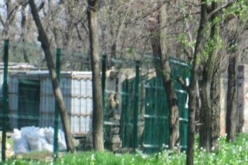 Одесский «Зеленый театр» позеленеет (ФОТО)