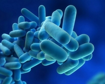 Ученые: Пробиотики могут помочь предотвратить рак