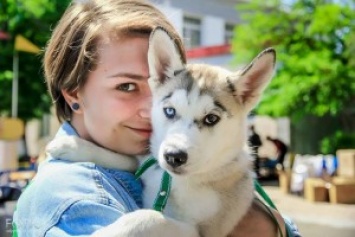 Апрель хвостатый: в Николаеве прошла сертификатная выставка собак всех пород «Весна Прибужья 2016»