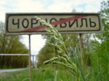 Митингом и шествием отметят тридцатую годовщину Чернобыльской аварии в Коростене