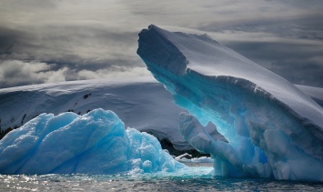 Ученые: Бактерии на Антарктику заносятся с других континентов