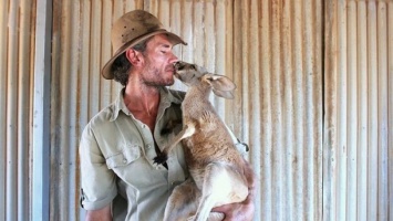 «Кенгуру Данди»: спасатель маленьких кенгурят
