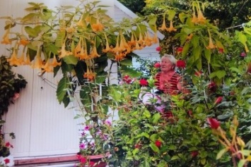 В Ленинском районе зацвели настоящие «сады Семирамиды» (ФОТО)