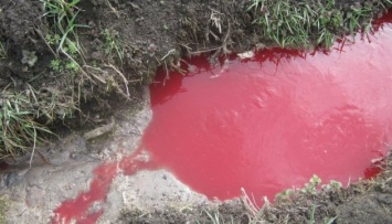 Полиция выяснила, откуда кровь в реке на Тернопольщине