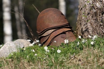 В Херсонской области найдена братская могила советских воинов