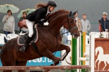 В Николаеве пройдет соревнование по конному спорту