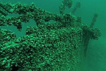 Легендарный пароход «Веста», затонувший у берегов мыса Тарханкут, станет подводным музеем