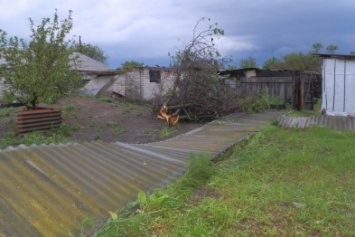 В Луганской области пронесся ураган (фото)