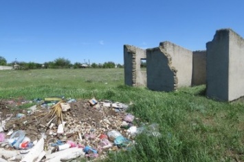 Рядом с крымским селом обнаружена свалка трупов свиней (ФОТО 18+)