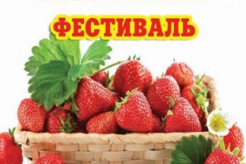 Под Кременчугом состоится Всеукранская клубничная ярмарка-фестиваль