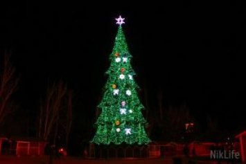 Николаевская городская елка заняла шестое место в Украине