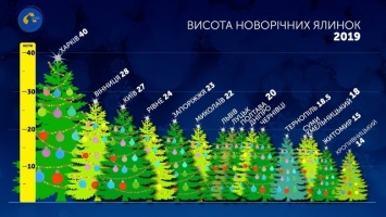 Запорожская елка стала одной из самых высоких в Украине (ФОТО)