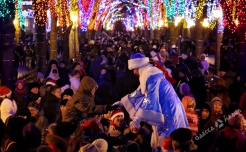 От DukeTime с дельфинами до травести-шоу: где и почем в Одессе встретить Новый год