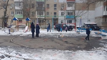 Испорченный праздник: в Бердянске украли символ Нового года