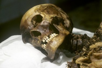 Полиция нашла мать, скелет сына которой обнаружили в житомирском лесу