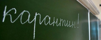 Грипп и простуда закрывают школы в Запорожье и области