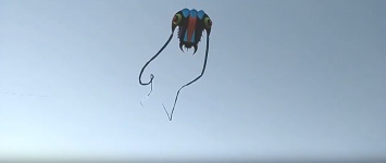 В небе над запорожским курортом парил гигантский кальмар - видео