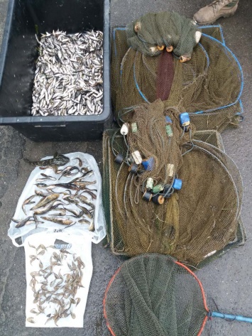Николаевский рыбоохранный патруль с пограничниками задержал браконьера на незаконном лове трехиглой колюшки