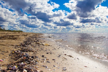 Пластиковые отходы возрастут вдвое к 2030 году: в чем опасность для жителей Земли