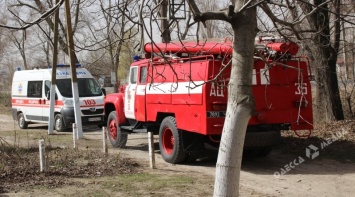 Жителя Одесской области «зажевал» мотоблок