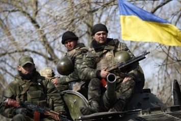 День украинского добровольца 14 марта: история нового праздника