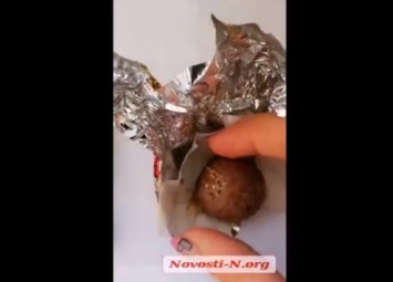 В Николаеве в конфетах «Жизнь удалась» горожанка обнаружила червей и мошек