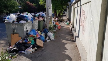 Аксенов поручил найти "потерявшуюся" в мусоре улицу в Евпатории