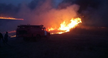 В Черкасской области из-за поджога сухой травы едва не сгорело село
