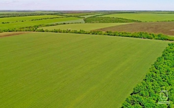 Одесские аграрии засеяли яровыми почти 200 тысяч гектаров полей