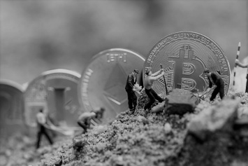Bitcoin Cash вырос на 10%: сезон альткоинов неизбежен?