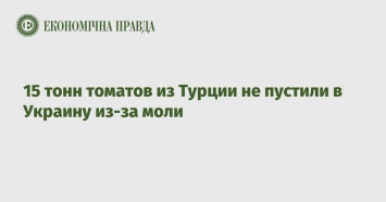 15 тонн томатов из Турции не пустили в Украину из-за моли