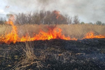 С начала года на Днепропетровщине из-за пожаров в природных экосистемах 4 человека погибли, 1 пострадал