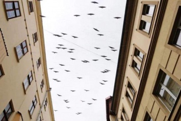 Чтобы не забывали смотреть на небо: в Ивано-Франковске появилась "воздушная" скульптура