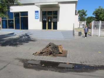 Жительница Новой Каховки отсудила у коммунальщиков деньги за поврежденный автомобиль