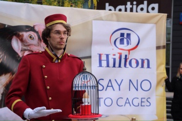Украинцы присоединились к всемирной акции против Hilton: "Это жестоко и даже бесчеловечно"