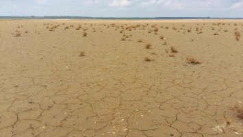 Экологи продолжают бить тревогу из-за огромной безводной пустыни в Одесской области